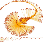radial nodes